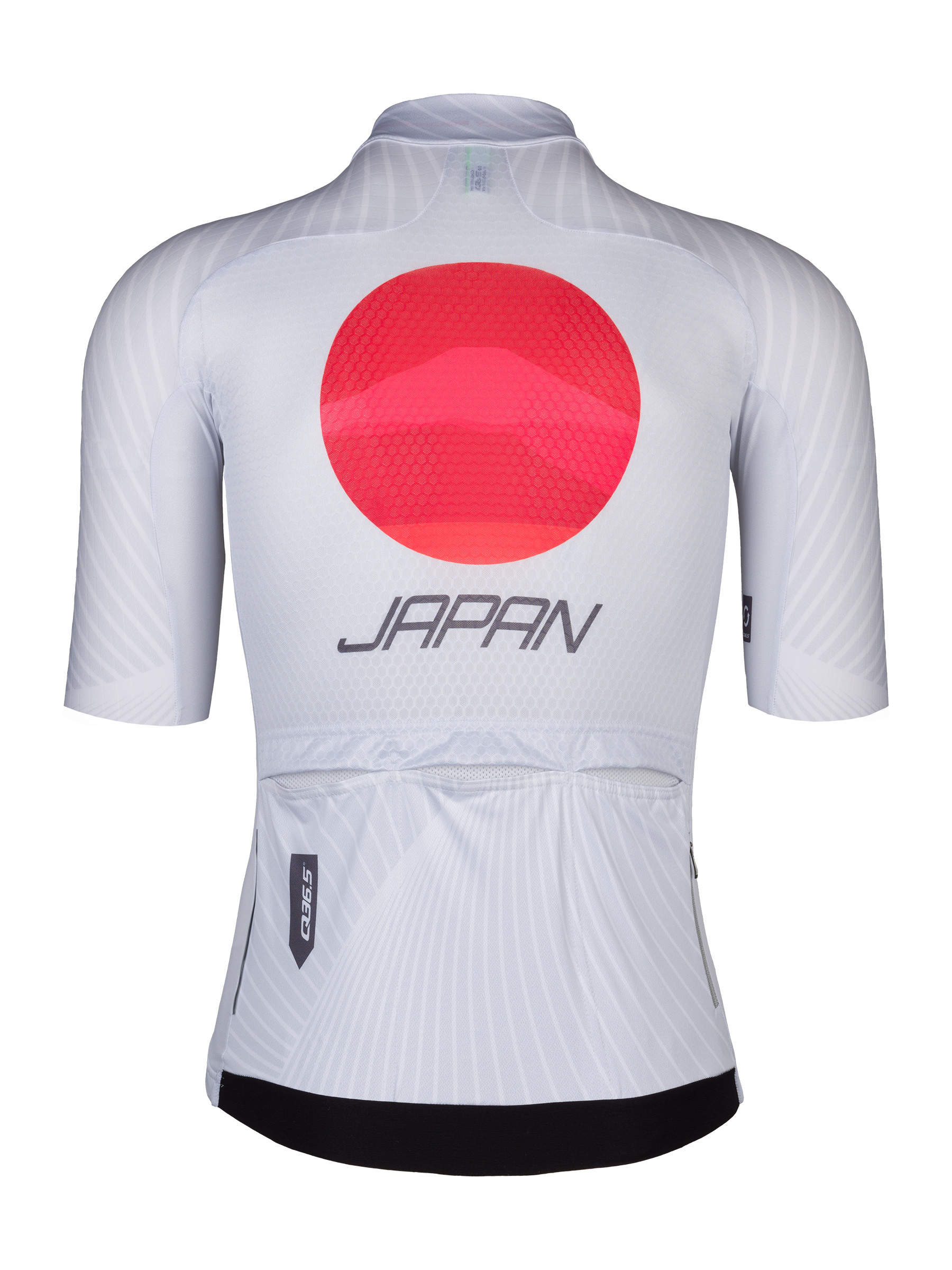 Gregarius Pro Japan Jersey