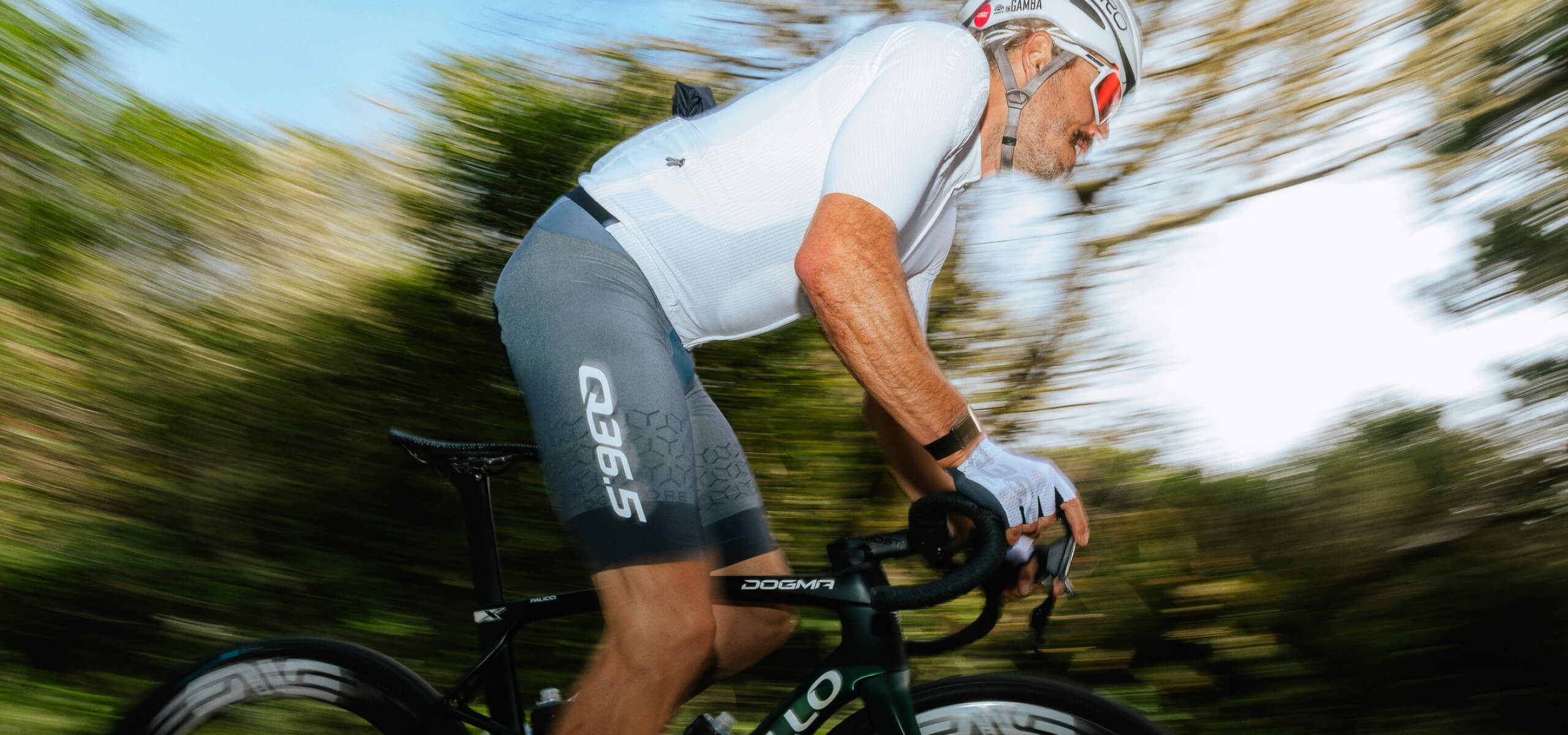 Cycling Dottore PRO Signature Bib Shorts Men Q36.5