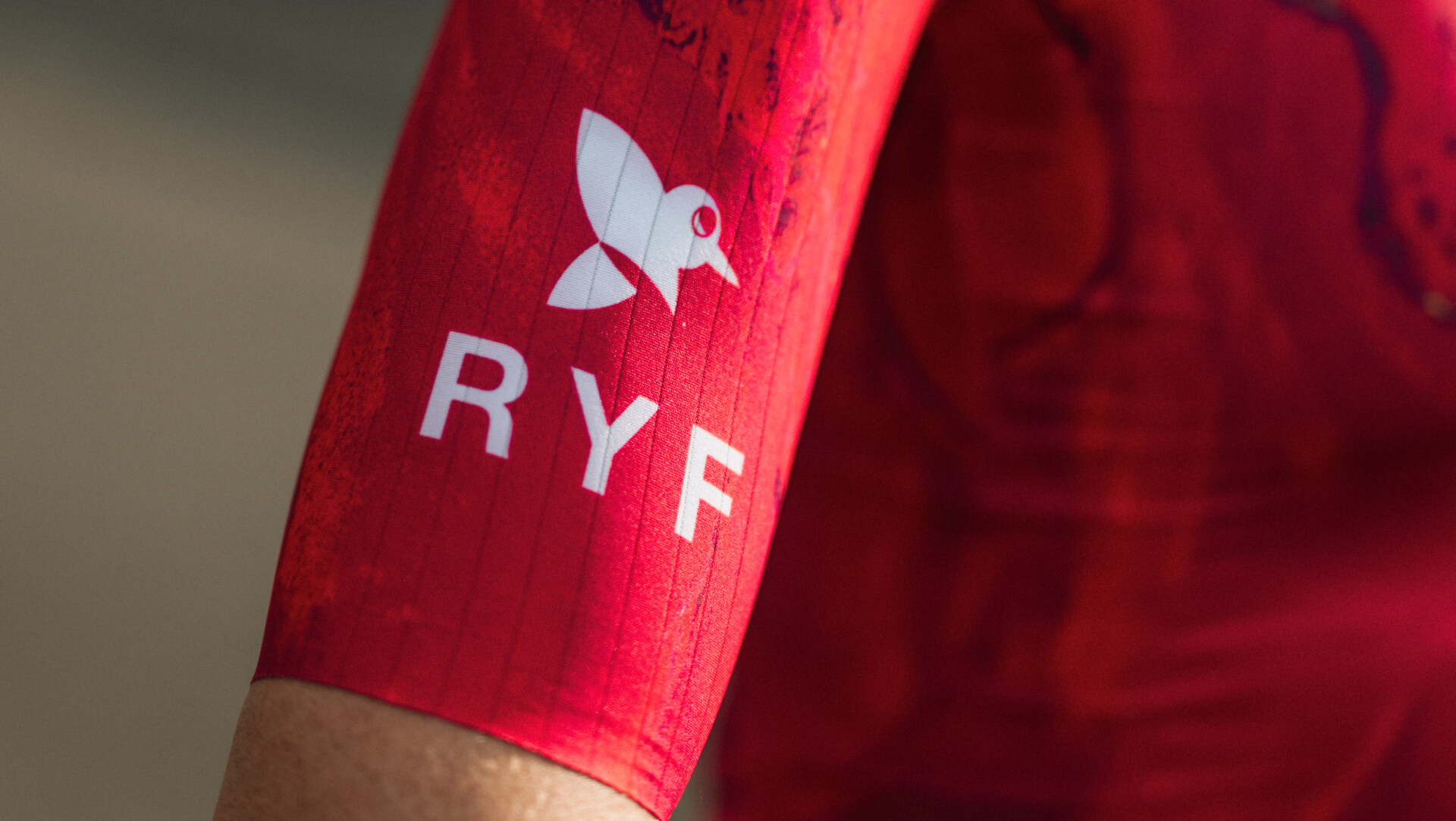 Gregarius Pro Ryf Trikot Herren Q36.5 - Extrem Leichte Konstruktion