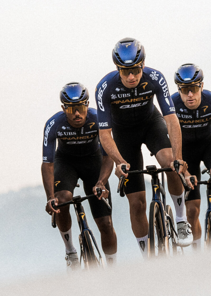 Gregarius Pro Cycling Team Culote ciclismo Hombre Q36.5