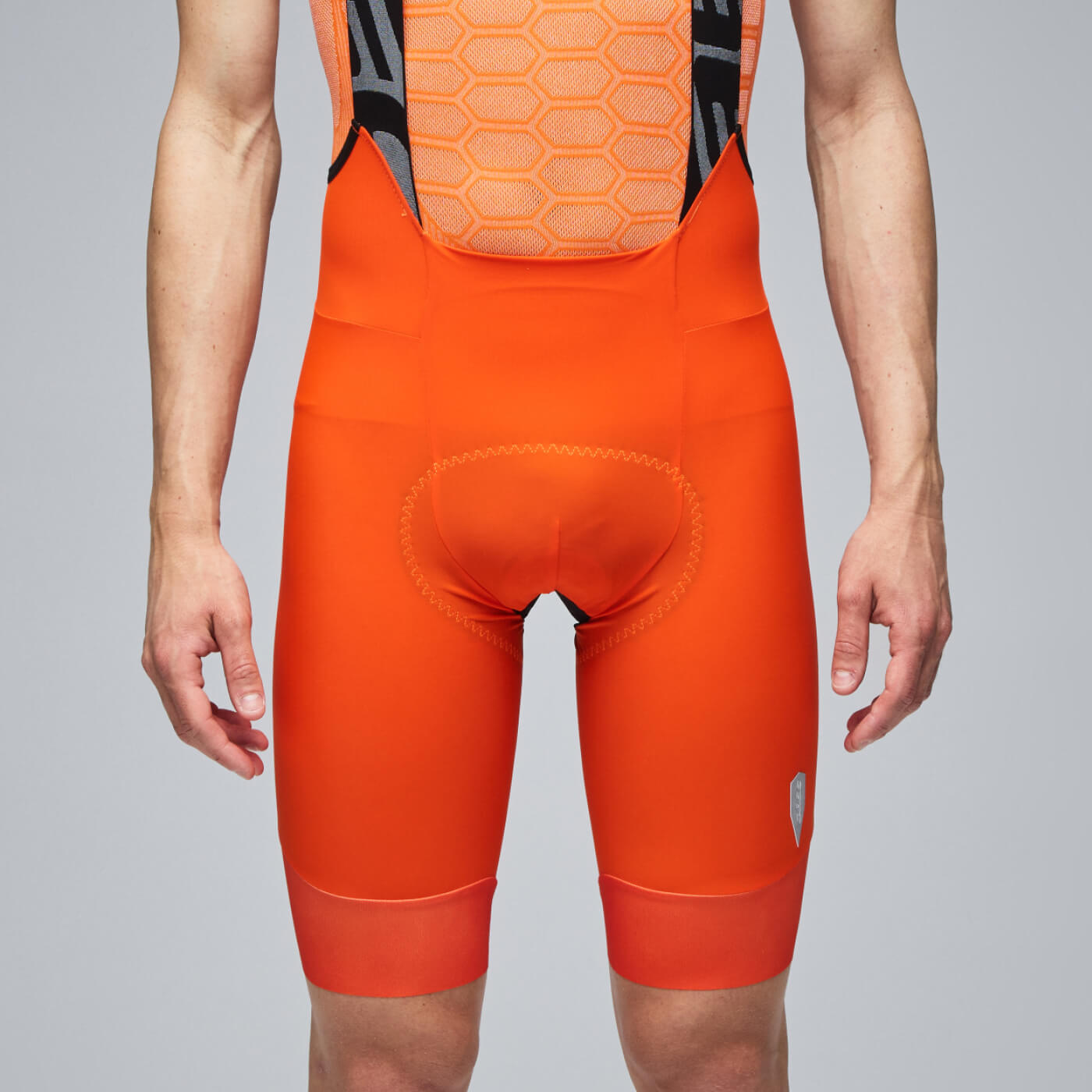 Cycling Gregarius Pro Bib Shorts Men Q36.5 - Raw Cut
